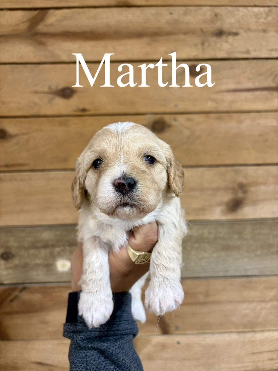Martha  1
