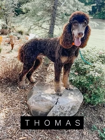 Thomas 