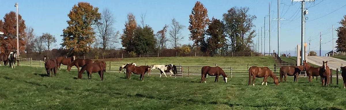 John and Kathy Yarnelle