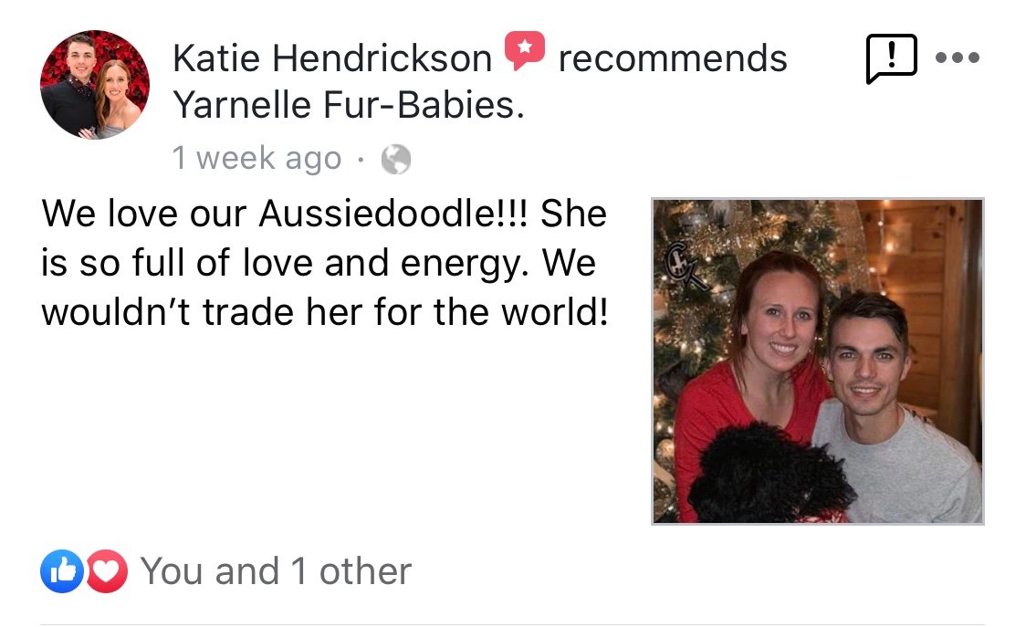 Review from Katie Hendrickson