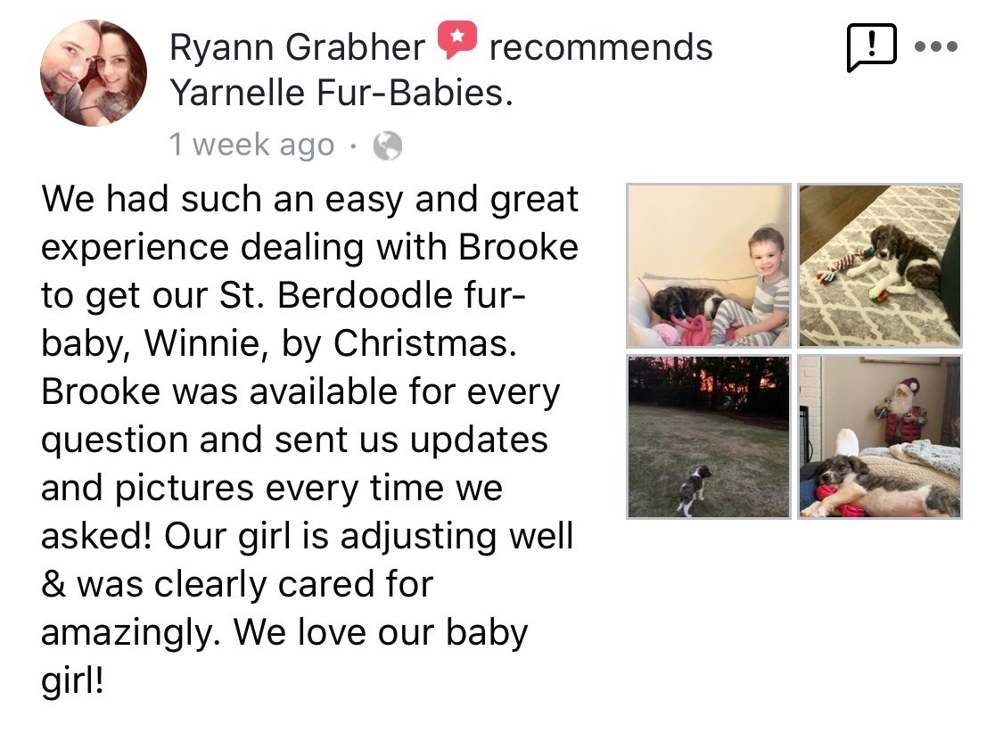 Review from Ryann Grabher