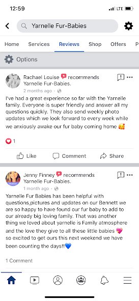 Review from Rachael Louise