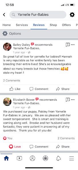 Review from Bailey Dailey