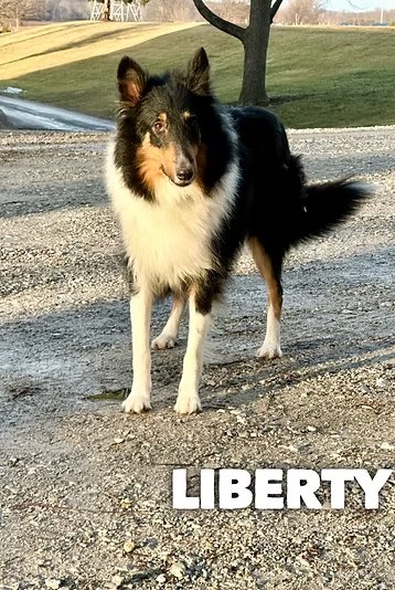 Liberty