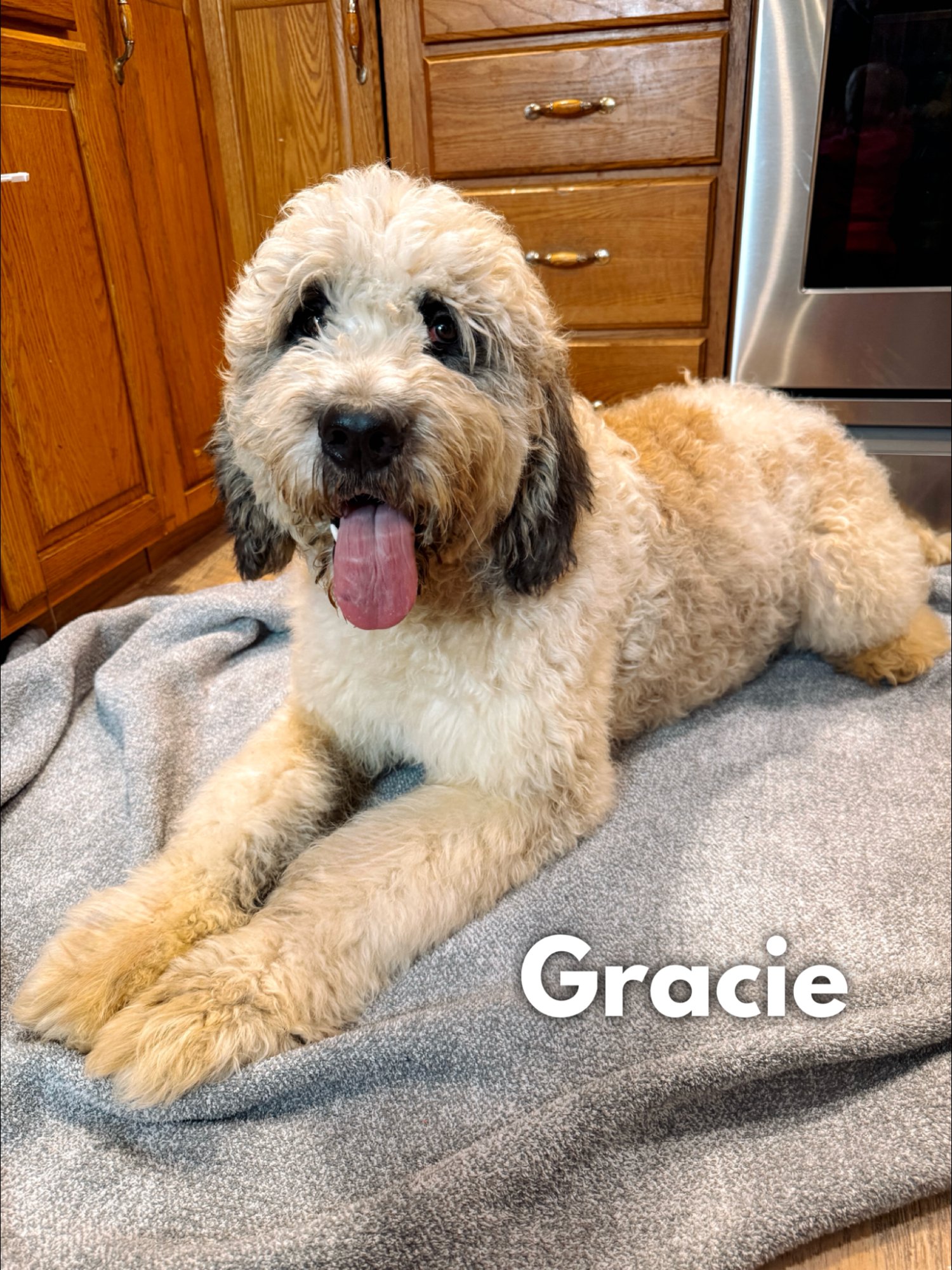 Gracie