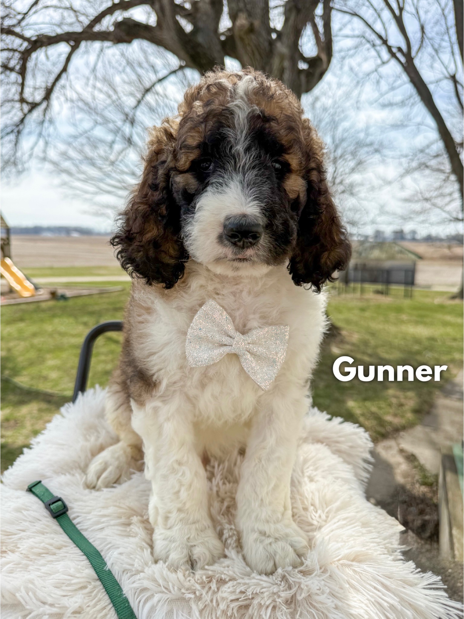 Gunner 1