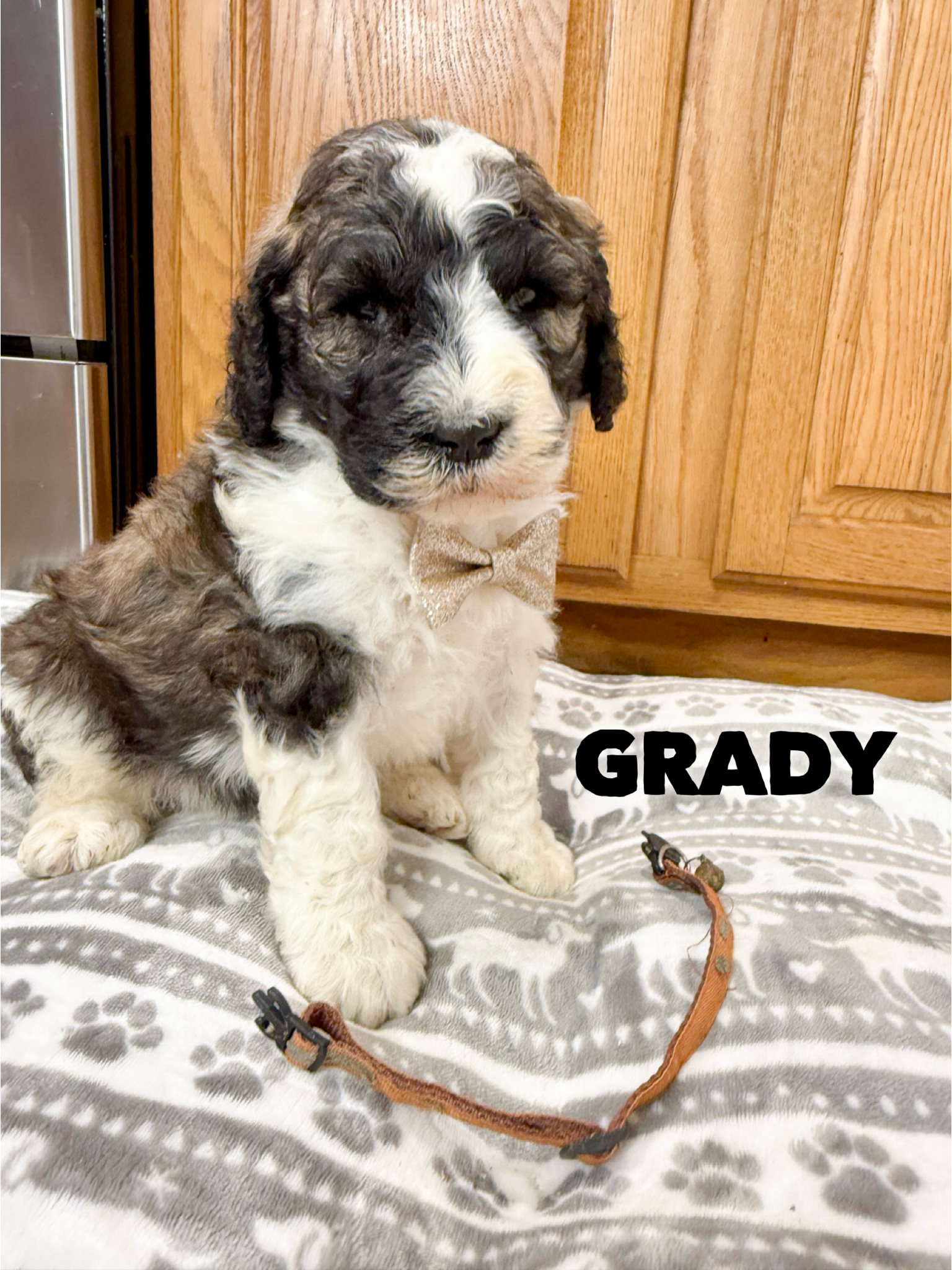 Grady 2
